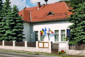 Comuna Suseni angajează consilier IA