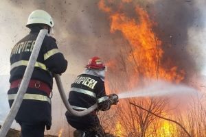 Vegetaţie în flăcări în judeţul Satu Mare: ard mai multe hectare! Mobilizare a pompierilor
