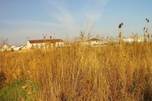 Neglijenţa care „arde” la buzunar: Ce impozit va plăti o sibiancă pentru un teren plin cu buruieni