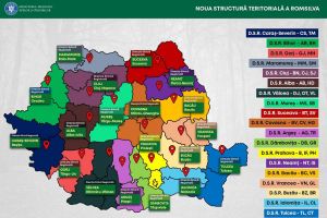 Guvernul a aprobat reorganizarea Romsilva: Direcţiile Silvice Vaslui şi Bacău vor fi comasate într-o structură regională cu sediul la Bacău