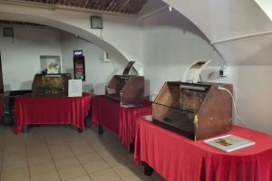 XXL Tarantula & Insecte Expo, până pe 8 martie, la Centrul Cultural Reduta