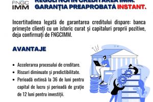 INSTANT IMM – Garanţia care accelerează finanţarea afacerilor dinamice creat pentru antreprenorii care nu amână creşterea