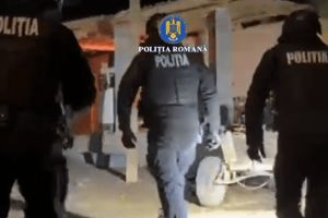 VIDEO. Hoţi de lemne, percheziţionaţi, apoi reţinuţi