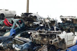 FOTO Amendă uriaşă pentru administratorul unei firme din Botoşani