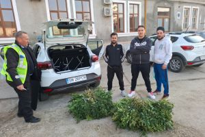 Tineri prinşi în timp ce tăiau crengi din Parcul Vasile Lucaciu pentru a le vinde la o florărie