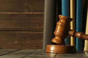 Astazi, primul termen de judecata in litigiul dintre Statiunea de Cercetare-Dezvoltare pentru Pomicultura si Garda Nationala de Mediu-Comisariatul Judetean Constanta