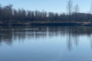 #ConstantaEsteBine: 6 martie 2026 A 6-a baba a lunii martie, cu soare pe cer si ceva frig pe ici pe colo