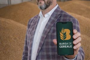 Cereale de vânzare în România – Bursa de Cereale aduce fermierii şi cumpărătorii în acelaşi loc