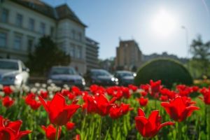Meteo: Vreme caldă până la sfârşitul lunii martie. Prognoza pentru următoarele 4 săptămâni