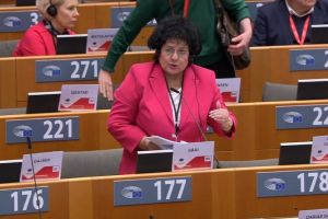 Mariana Gaju, la Bruxelles: Marea Neagra nu este o zona periferica, ci un pilon strategic al securitatii si economiei europene (VIDEO)