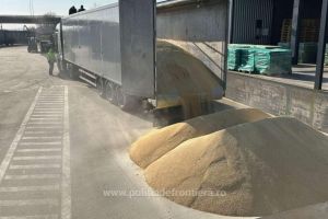 Țigari de zeci de mii euro ascunse in podeaua unui camion cu furaje de soia vrac