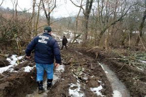 Exploatări ilegale de lemn pe un sit Natura 2000 Munţii Făgăraş! Amenzi de 110.000 de lei de la Garda de Mediu