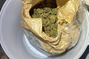 „Fermier de canabis” din Buzău, reţinut de autorităţile din Vrancea