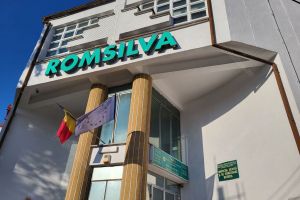 Direcţia Silvică Bistriţa nu va mai exista ca instituţie de sine stătătoare