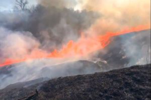 VIDEO Peste o sută de hectare afectate de incendii de vegetaţie în comuna Dumitreşti!