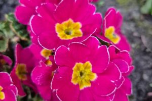 #ConstantaEsteBine: 7 martie 2026. A 7-a Baba a lunii martie, cu soare si un pic de vant