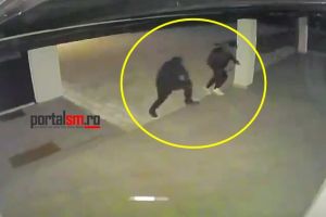 VIDEO. Tentativă de spargere la o casă din Satu Mare. Hoţii au fost surprinşi de camerele de supraveghere