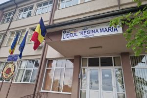 Elevul unui liceu din Botoşani, calificat la Olimpiada Naţională de Informatică