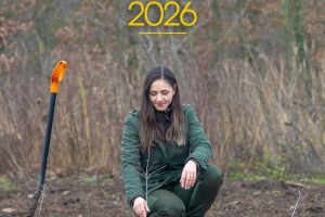 Romsilva demarează campania de împăduriri