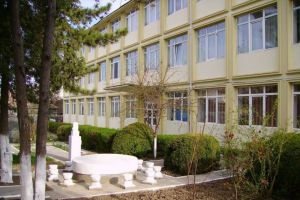 Primaria Medgidia si-a asigurat serviciile de management in cadrul proiectului de modernizare a Școlii Gimnaziale Constantin Brancusi (DOCUMENT) 