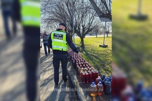 Șofer din Satu Mare prins cu peste 300 de litri de vin! Amendă de 20.000 lei
