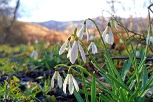 Cum va fi VREMEA în România până în 6 aprilie 2026: Temperaturi mult mai ridicate în aproape toată ţara. Prognoza meteo de la ANM pentru următoarele 4 săptămâni