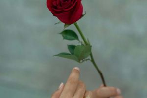 Ce facem astăzi, 8 martie 2026, în Timişoara?