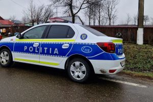 Tentativă de omor! Un bărbat din Botoşani a vrut să îşi ucidă fratele aflat în scaun cu rotile