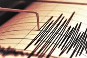 Patru cutremure slabe produse sâmbătă în zona seismică Vrancea