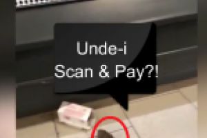 VIDEO / Sorecele devine mascota Kaufland