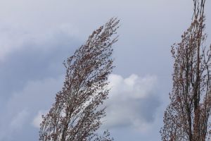 ANM: Vânt puternic în sud-vestul ţării şi în zonele montane! Caraş-Severin, sub atenţionare!