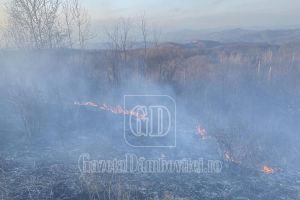 Primele zile calde, primele incendii de vegetaţie! O intervenţie de 5 ore a pompierilor pentru lichidarea unui focar la Gura Ocniţei