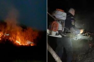 Incendiu de vegetaţie la Râmnicu Vâlcea. Pompierii au intervenit rapid pentru a opri extinderea focului