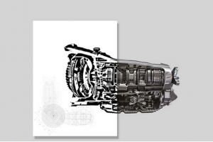 (P) Afla cum poti fi candidatul ideal!