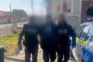 Trei hoţi, prinşi cu ajutorul ,,detectivei” Gica
