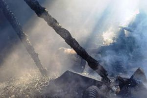 15 oi carbonizate în urma unui incendiu izbucnit la Gura Caliţei