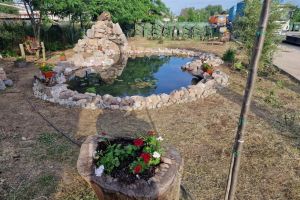 Profită de vremea bună şi pregăteşte-ţi grădina sau jardinierele!