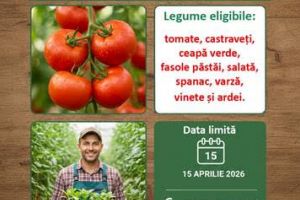 Înscrieri în Programul de susţinere a producţiei de legume cultivate în spaţii protejate