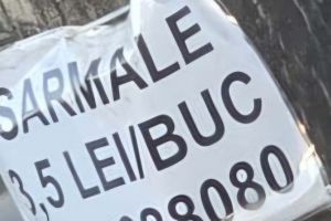 Avertisment de la Protecţia Consumatorilor Timiş. Nu cumpăraţi mâncare de la vânzători neautorizaţi, riscurile pentru sănătate pot fi serioase