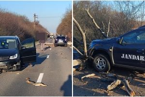 FOTO. Copac prăbuşit peste două maşini, în Satu Mare! Una dintre autoturisme este autospeciala Jandarmeriei