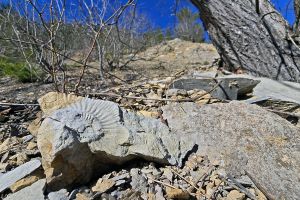 Fosile din perioada Jurasic, la 40 de km de Reşiţa! Drumeţie prin geoparcul Valea Ponor – Anina, din Munţii Banatului!