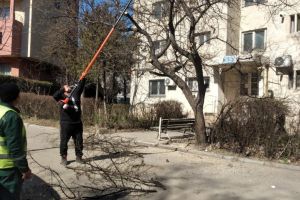 Lucrari de intretinere in parcurile si spatiile verzi din Constanta