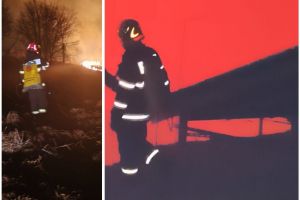 Weekend plin de incendii de vegetaţie în Bihor: un parc fotovoltaic din Roşia, la un pas de pericol (FOTO)