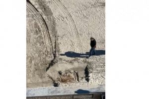 VIDEO. O teava de gaze improvizata a fost sparta pe plaja din Navodari 