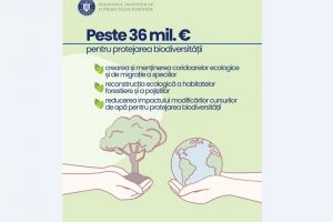 MIPE lanseaza un apel de proiecte de peste 36 milioane de euro pentru biodiversitate! Tulcea si Constanta, pe lista judetelor eligibile 
