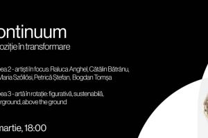 „Continuum”, o expoziţie în continuă transformare în Bastion