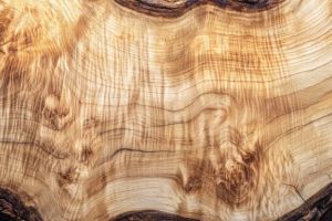 Actiune silvica in judetul Tulcea. Transport ilegal de lemn in Slava Rusa, depistat de politie, in trafic 