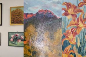 Expoziţia de pictură „Lumini şi umbre”, la Biblioteca Judeţeană Braşov