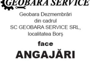 SC GEOBARA SERVICE SRL, localitatea Borş, ANGAJEAZĂ personal pentru următoarele posturi