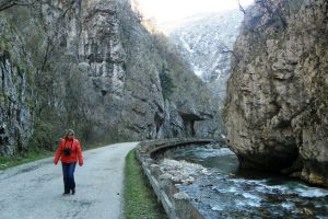 Astenii de primăvară – Drumeţ pe Șuşiţa Verde şi Sohodolul plaiului gorjean